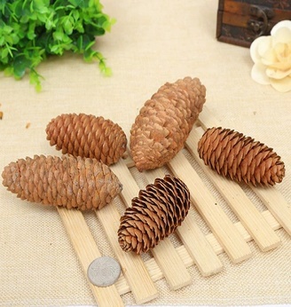 Pine cones, 4 pcs